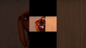 SI TE RIES PIERDES 😂🤣 Momentos Divertidos | AMONG US #Shorts