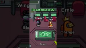 WHY YOU CANNOT TRUST ANYONE in Among Us - Siblings Den Discord Gaming Session!