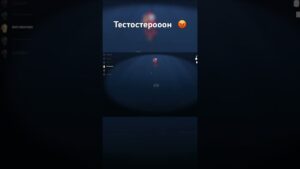 Жестко спалил амогуса за счет уверенности #goosegooseduck #amongus #игры